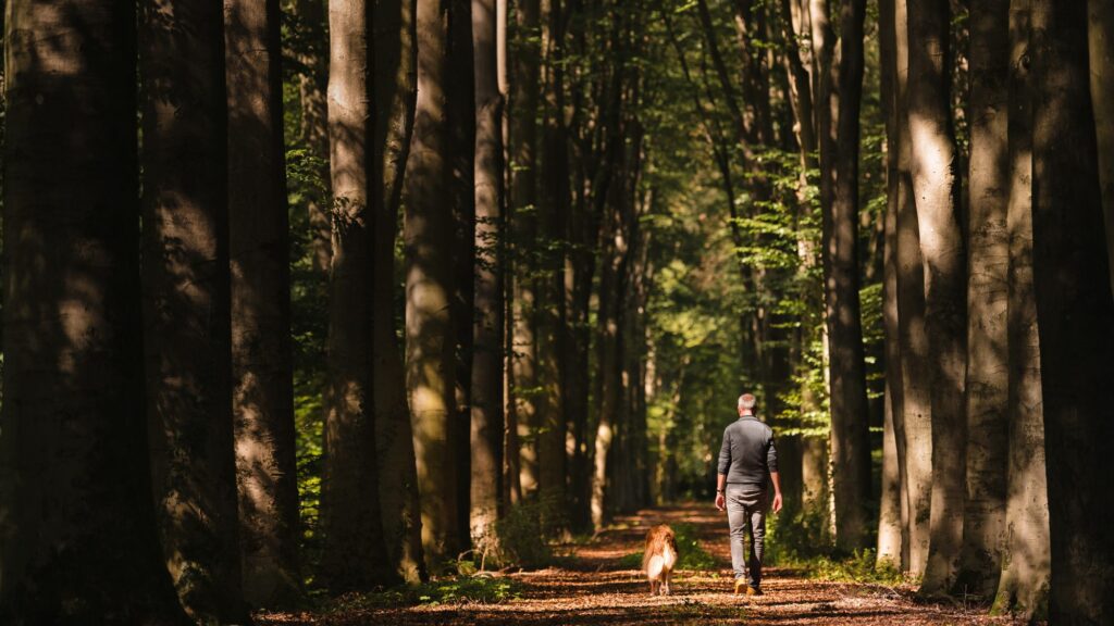 Arjan Blanken wandelt met zijn hond door het bos